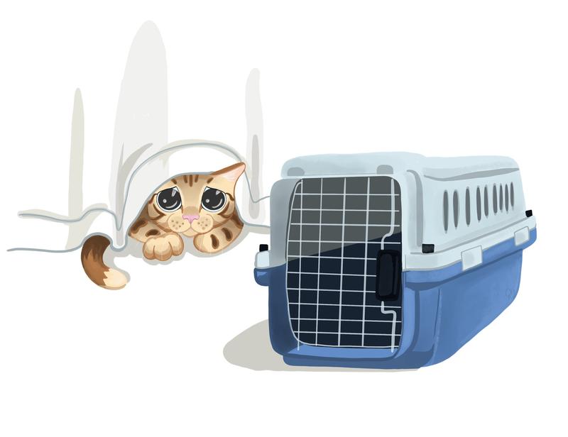 Ilustracion de un gato con miedo al transportil