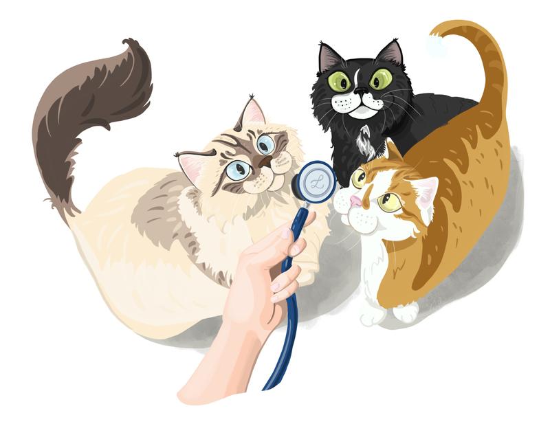 Ilustracion mostrando gatos curisosos con visita a veterinario en casa