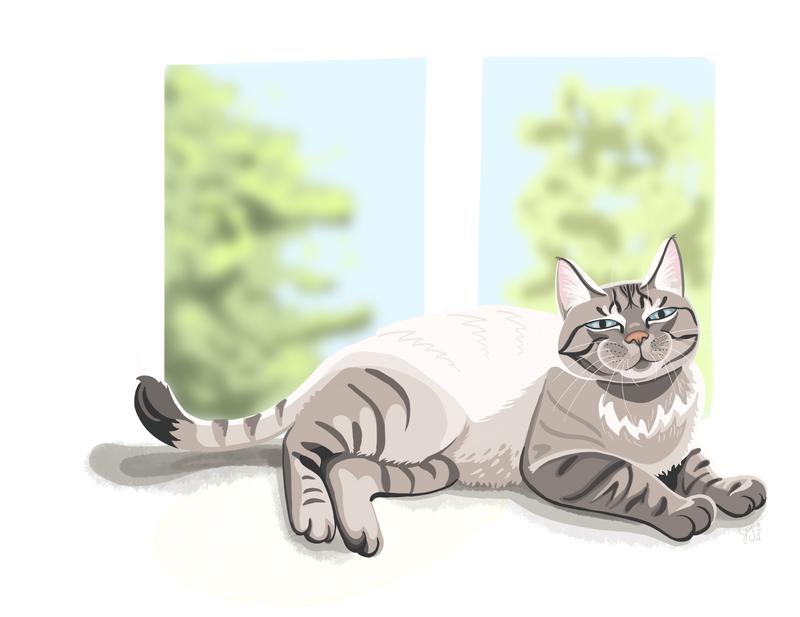 Ilustración de un gato mostrando un comportamiento dificil de entender