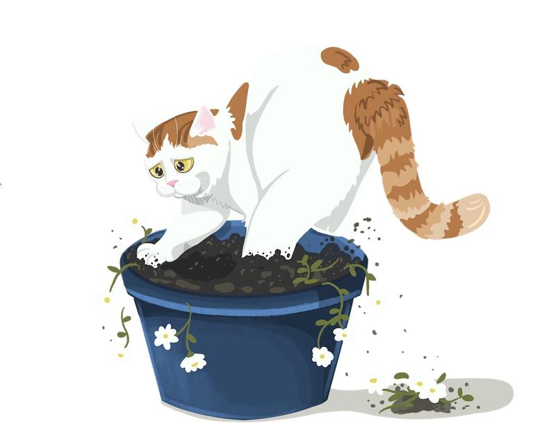 Ilustración de gato mostrando problemas de comportamiento