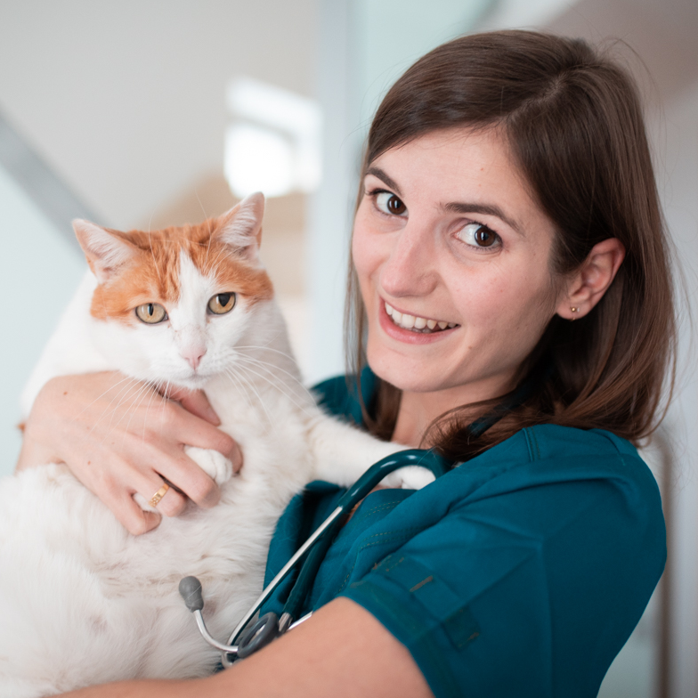 Alicia Gosalbez veterinaria etóloga felina