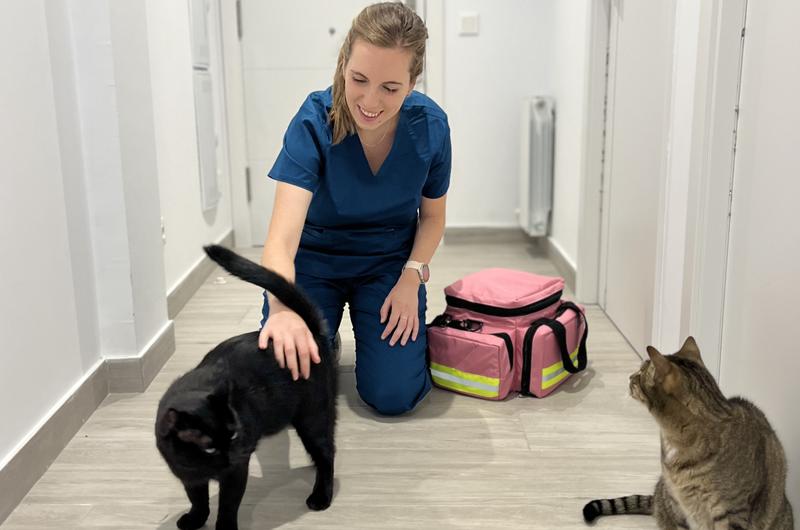 Julia Lleida. Veterinario Felina.